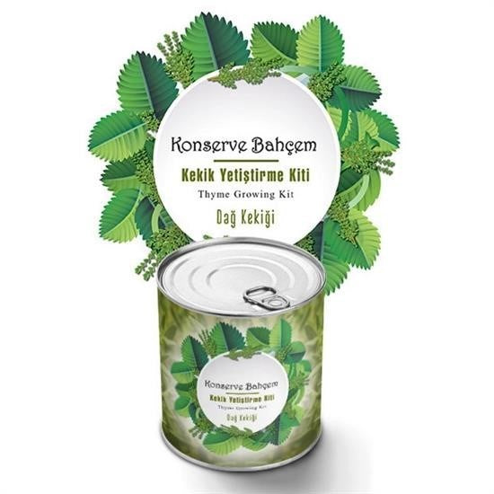 BUFFER® Konserve Bahçem Evde Konservede Kekik Dað Kekiði Yetiþtirme Kiti