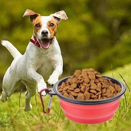 BUFFER® Katlanabilir Kedi Köpek Mama ve Su Kabý Köpek Oyuncaðý