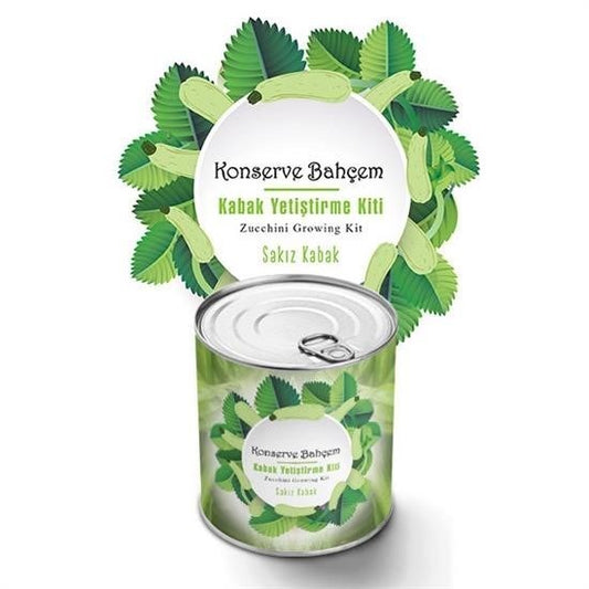 BUFFER® Konserve Bahçem Evde Konservede Sakýz Kabak Yetiþtirme Kiti