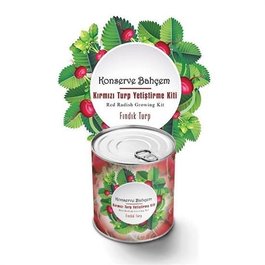 BUFFER® Konserve Bahçem Evde Konservede Fýndýk Turp Yetiþtirme Kiti