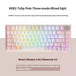 Gaming Tastatur mit RGB-Beleuchtung – Kreatives Farbdesign für Home Office & Gaming Setup 2025