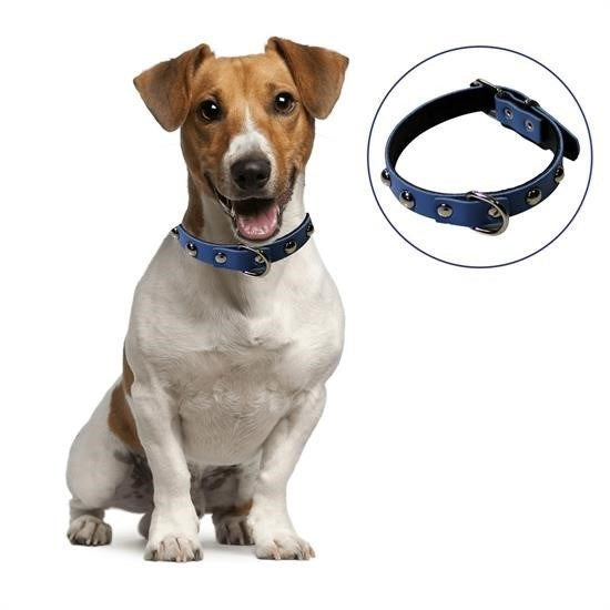 BUFFER® Yumuþak Dokulu Deri Köpek Gezdirme Boyun Tasmasý (Large)